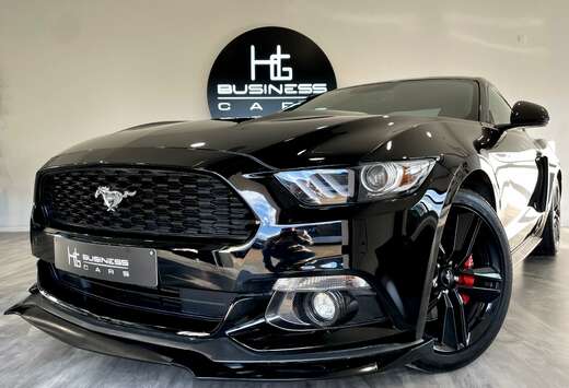 Ford 2.3 EcoBoost/ SIEGE RECARO/ ECHAP. ROUSH/ XÉNON