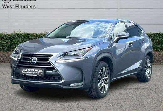 Lexus EXECUTIVE LINE