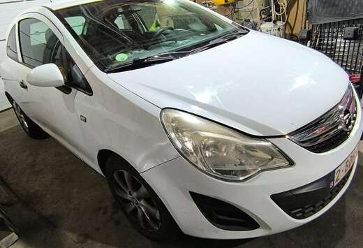 Opel 1.3 CDTI DPF Color Stripes