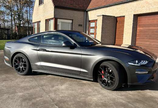 Ford Fastback 2.3 Eco Boost Aut.