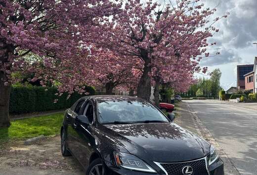 Lexus DPNR Luxury Line