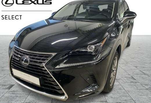 Lexus Exécutive