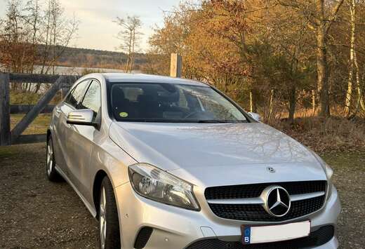 Mercedes-Benz D