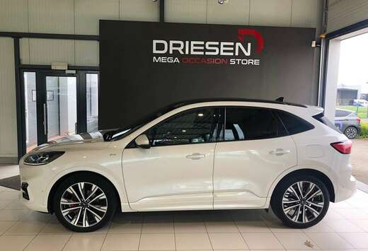 Ford ST-Line X FHEV AUT  FULL OPTION BIJ DRIESEN IN B ...