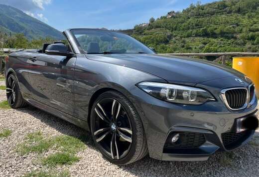 BMW Cabrio dA AdBlue