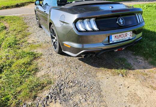 Ford Mustang Convertible 2.3 EcoBoost (EU6.2)