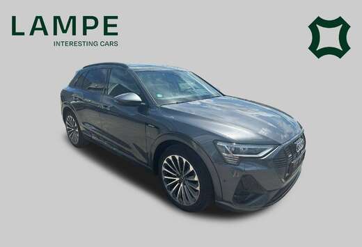 Audi 55 Quattro Advanced S-line B&O Pano Trekhaak