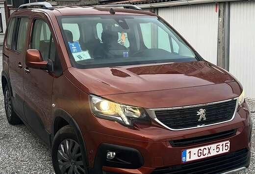 Peugeot 1.5 BlueHDi Standard Active S&S
