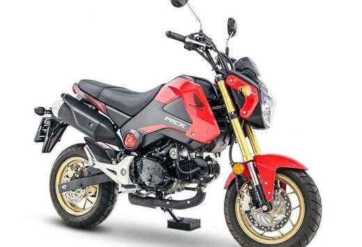 Honda Budget riquiqui, plaisir maxi, et garantie 1 an ...
