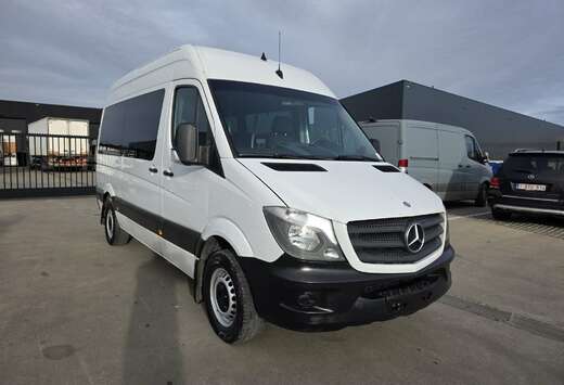 Mercedes-Benz 313 CDI bus