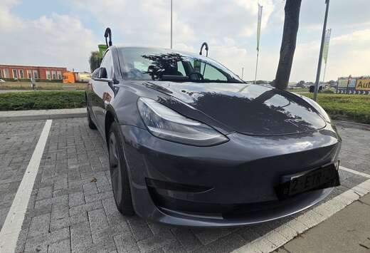 Tesla Standard Reichweite Plus Hinterradantrieb