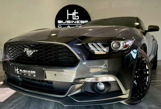 Ford 2.3/ CARNET/ AILERON/ CUIR CHAUFFANT/VENTILÉ/ X ...