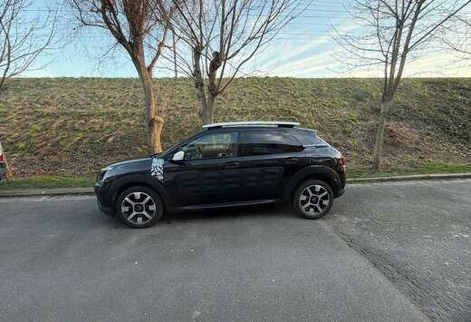 Citroen C4 Cactus 1.6 BlueHDi Rip Curl