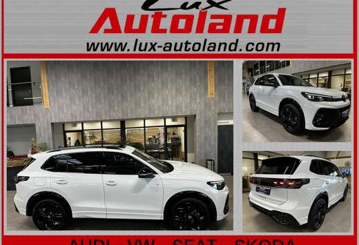 Volkswagen TDI 142 kW 4Motion R-Line Black Pano AHK