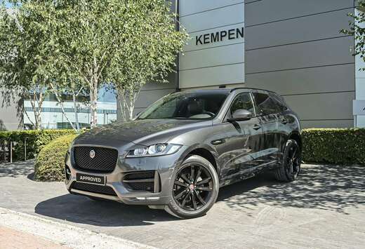 Jaguar R-SPORT P250 // Lichte Vracht