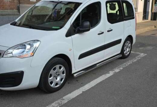 Peugeot Tepee 1.6 BlueHDi 100ch BVM5 Style