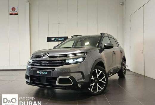 Citroen Shine 1.5 BlueHDi 130 EAT8