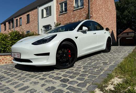 Tesla Model 3 Standard Reichweite Plus Hinterradantri ...