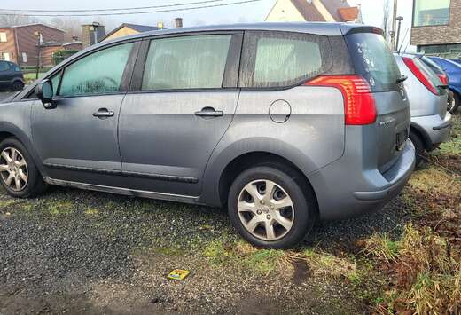 Peugeot 1.6i AL BLANCO GEKEURD ROOS FORM AIRCO PDC 20 ...