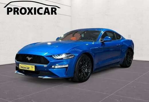 Ford 2.3 EcoBoost 290cv Full carnet Ford / Full Origi ...