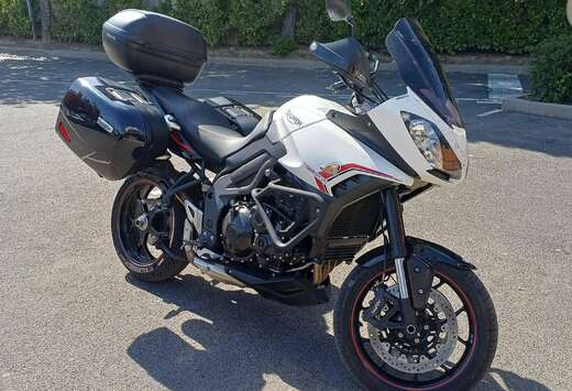 Triumph Sport