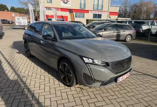 Peugeot sw electric