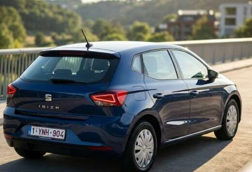 SEAT 1.0 tgi Business 90cv