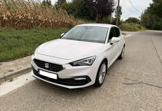 SEAT 1.5 eTSI MHEV Xcellence DSG (EU6AP)