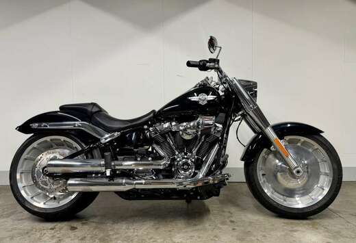 SOFTAIL FLFBS MET ELEKTRONISCH REGELBARE UITLAAT