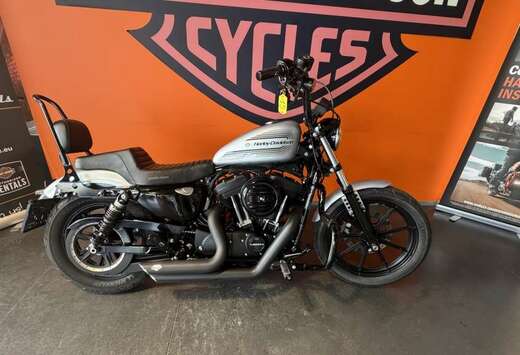 Chopper IRON N
