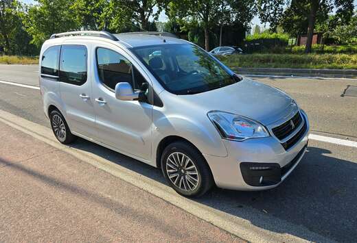 Peugeot Tepee 1.6 BlueHDi 1EIG. PERFECTE STAAT EURO6