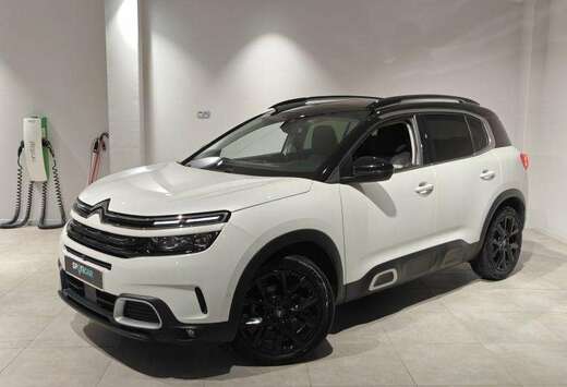 Citroen Shine - Leer - Pano open dak