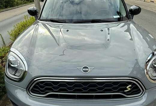 MINI Mini Countryman 1.5A PHEV Cooper SE ALL4 (EU6d-T ...