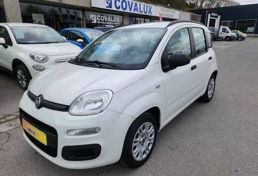 Fiat Panda 1.2i Easy
