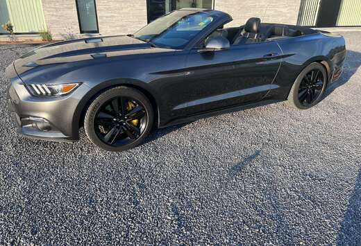 Ford Convertible 2.3 EcoBoost 317