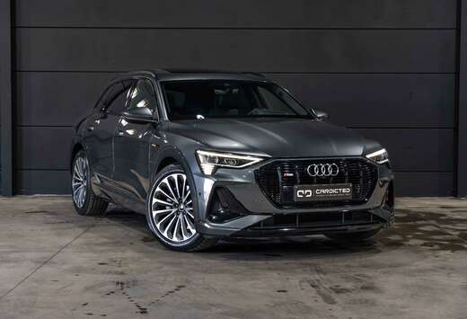 Audi B&O*PANO*LED*360 CAMERA*TREKHAAK*