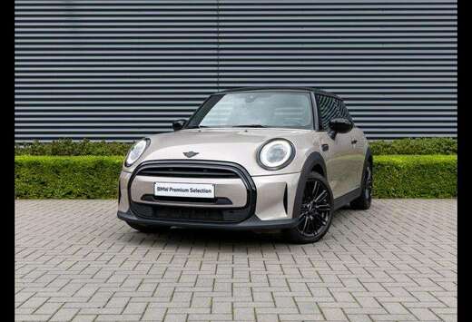 MINI Classic