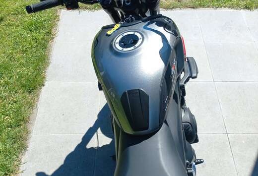 Triumph