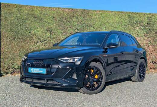 Audi (Q8)e-tron - 2x s-line - sportstuur - B&O