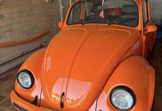 Volkswagen COX 74 «SUN BUG»
