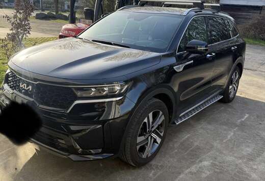 Kia PHEV 1.6 TGI AWD Pace 7pl. (195kW)