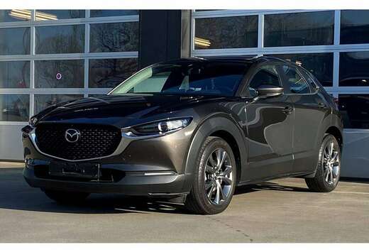 Mazda CX-30 2.0i SKYACTIV-X MHE Skydrive