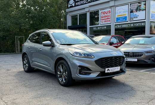 Ford Hybrid ST-Line X