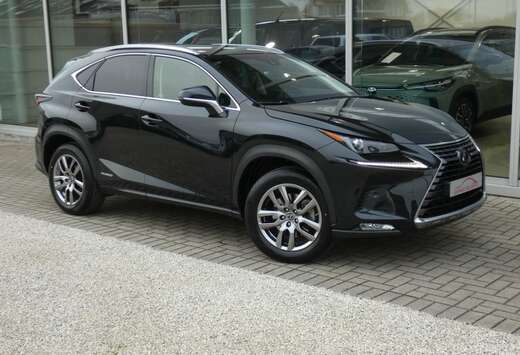 Lexus Hybrid AWD Executive Line +LEDER +TREKHAAK