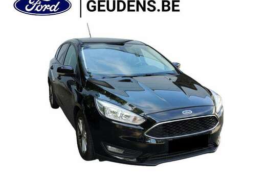 Ford EcoBoost Business Class