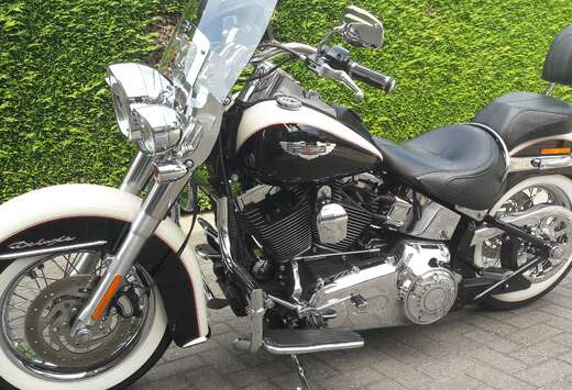 Softail Deluxe