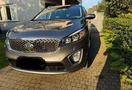 Kia 2.2 CRDi AWD Aut. Platinum Edition