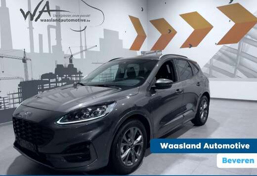 Ford FHEV - ST-Line X