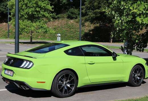 Ford Mustang 2.3 EcoBoost (EU6.2)