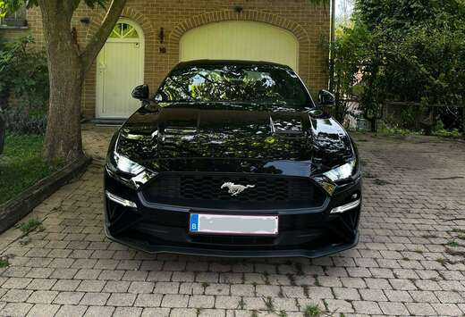 Ford Mustang+2.3+EcoBoost+(EU6.2)